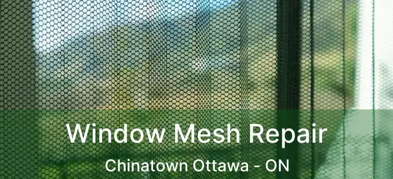  Window Mesh Repair Chinatown Ottawa - ON