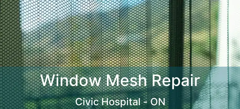  Window Mesh Repair Civic Hospital - ON