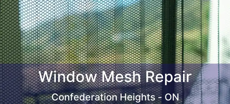  Window Mesh Repair Confederation Heights - ON