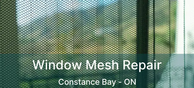  Window Mesh Repair Constance Bay - ON