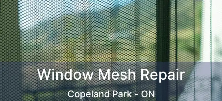  Window Mesh Repair Copeland Park - ON