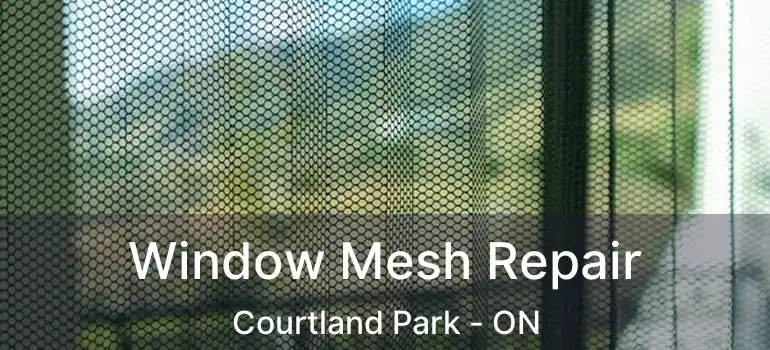  Window Mesh Repair Courtland Park - ON