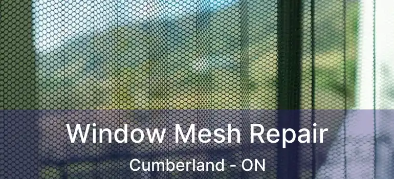  Window Mesh Repair Cumberland - ON