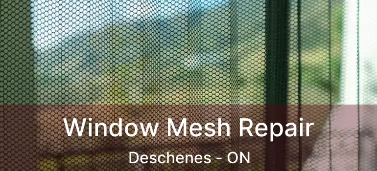  Window Mesh Repair Deschenes - ON