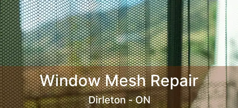  Window Mesh Repair Dirleton - ON