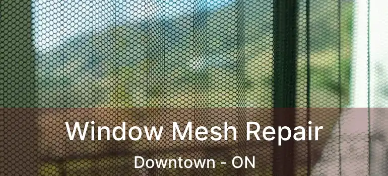  Window Mesh Repair Downtown - ON