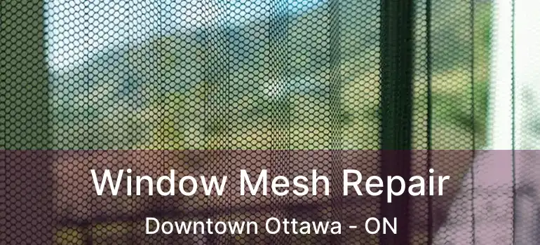  Window Mesh Repair Downtown Ottawa - ON