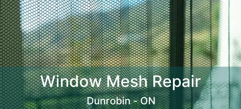  Window Mesh Repair Dunrobin - ON