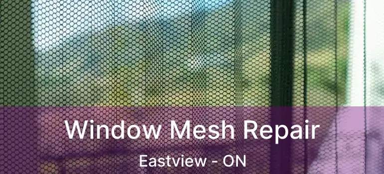  Window Mesh Repair Eastview - ON