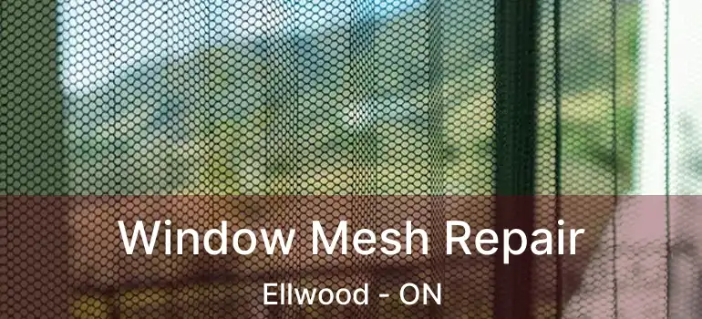  Window Mesh Repair Ellwood - ON