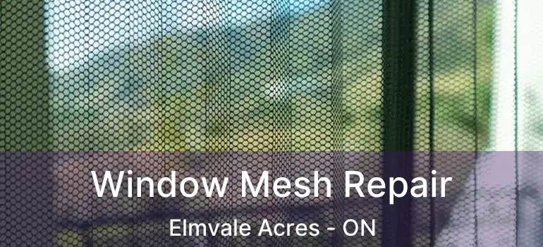  Window Mesh Repair Elmvale Acres - ON