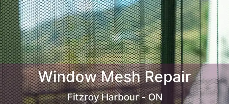  Window Mesh Repair Fitzroy Harbour - ON