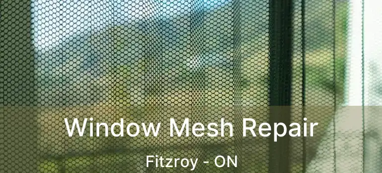  Window Mesh Repair Fitzroy - ON