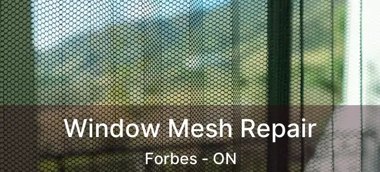  Window Mesh Repair Forbes - ON