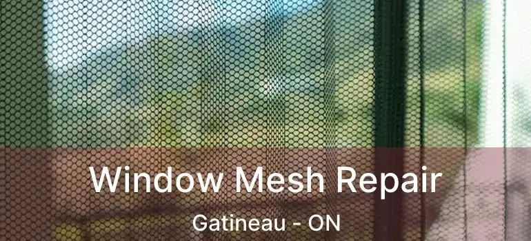  Window Mesh Repair Gatineau - ON