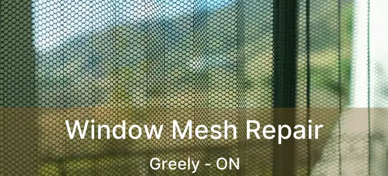  Window Mesh Repair Greely - ON