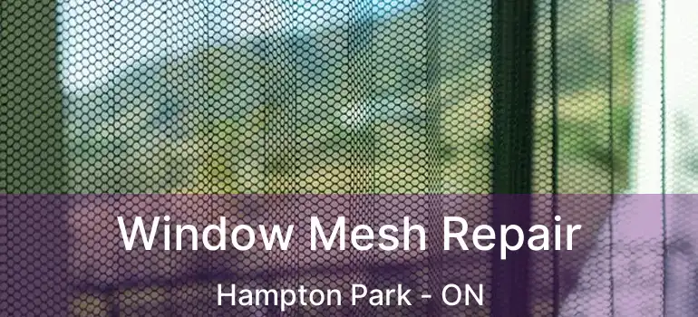  Window Mesh Repair Hampton Park - ON