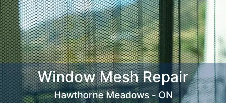  Window Mesh Repair Hawthorne Meadows - ON