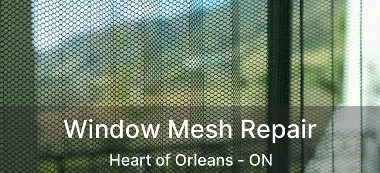  Window Mesh Repair Heart of Orleans - ON