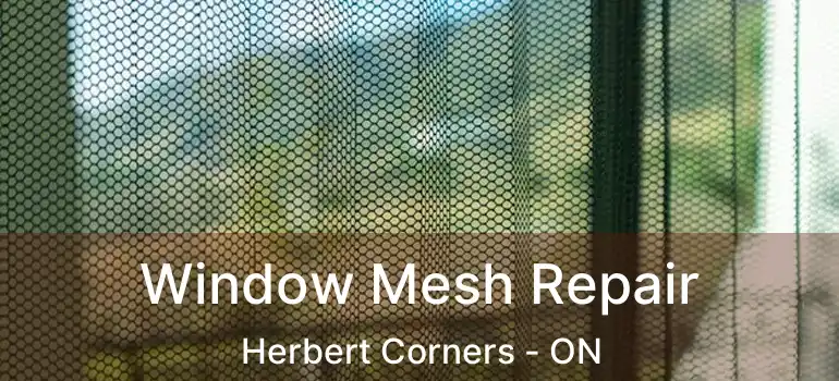  Window Mesh Repair Herbert Corners - ON