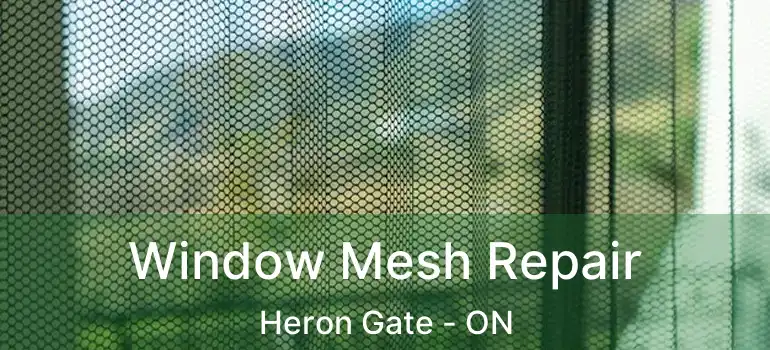  Window Mesh Repair Heron Gate - ON