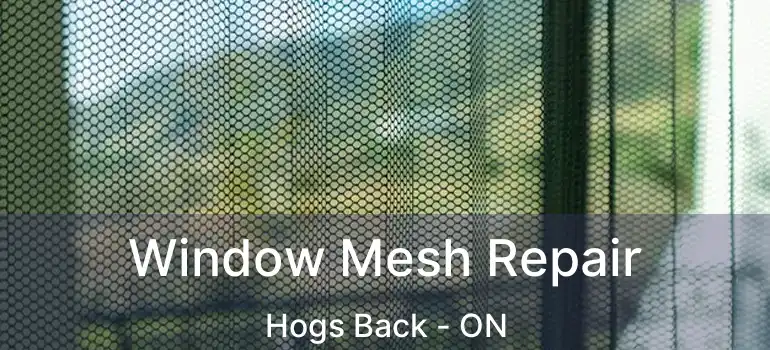  Window Mesh Repair Hogs Back - ON