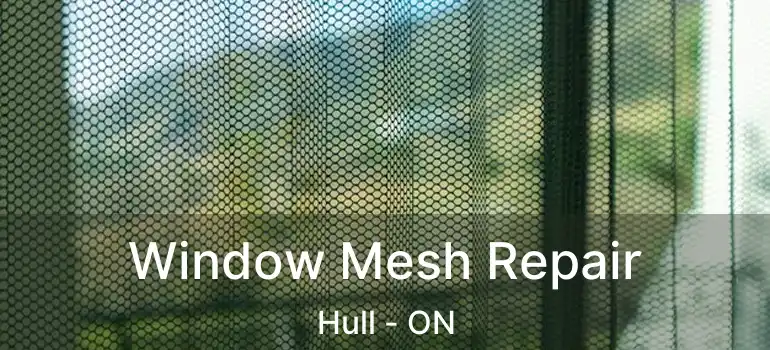  Window Mesh Repair Hull - ON