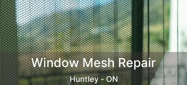  Window Mesh Repair Huntley - ON