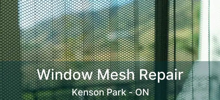  Window Mesh Repair Kenson Park - ON