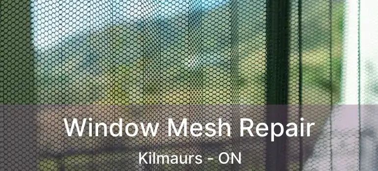  Window Mesh Repair Kilmaurs - ON