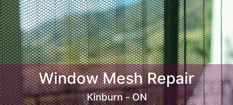  Window Mesh Repair Kinburn - ON