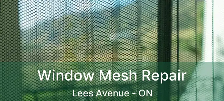  Window Mesh Repair Lees Avenue - ON