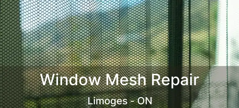  Window Mesh Repair Limoges - ON