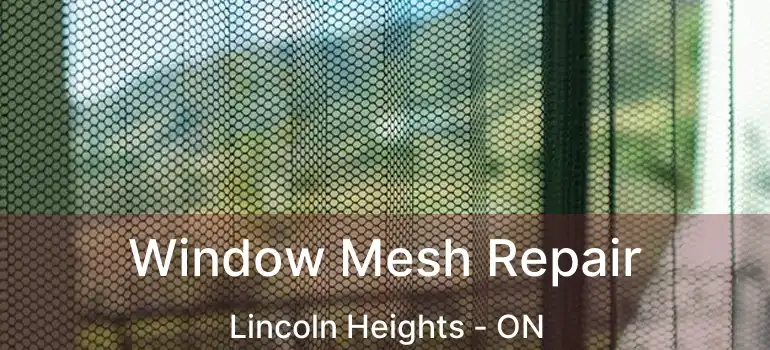  Window Mesh Repair Lincoln Heights - ON