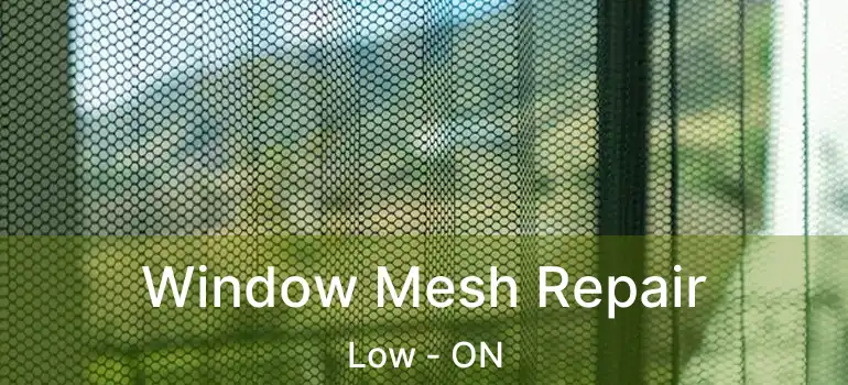  Window Mesh Repair Low - ON