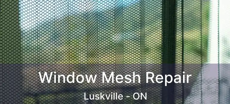  Window Mesh Repair Luskville - ON