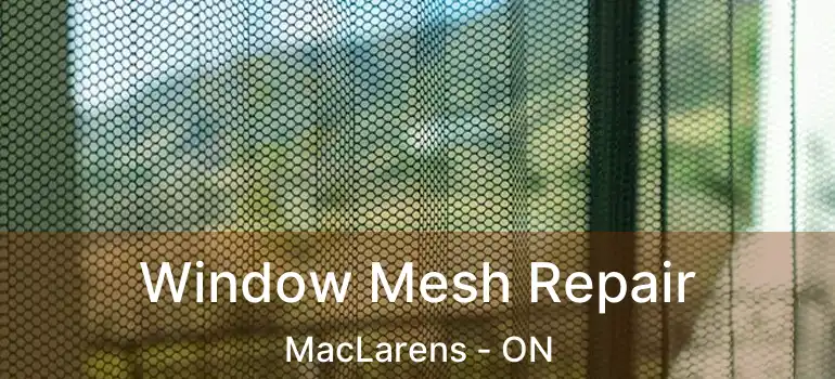  Window Mesh Repair MacLarens - ON