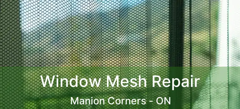  Window Mesh Repair Manion Corners - ON