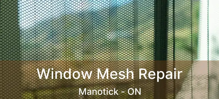  Window Mesh Repair Manotick - ON