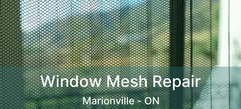  Window Mesh Repair Marionville - ON