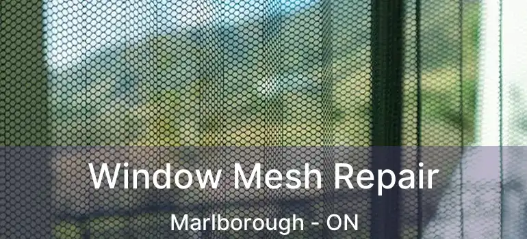  Window Mesh Repair Marlborough - ON