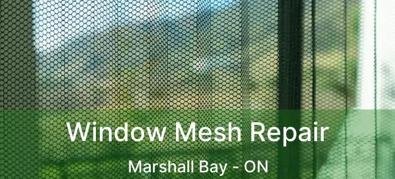  Window Mesh Repair Marshall Bay - ON