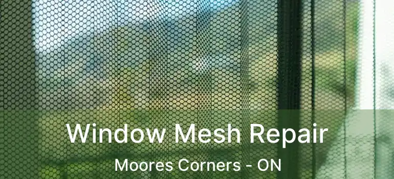  Window Mesh Repair Moores Corners - ON