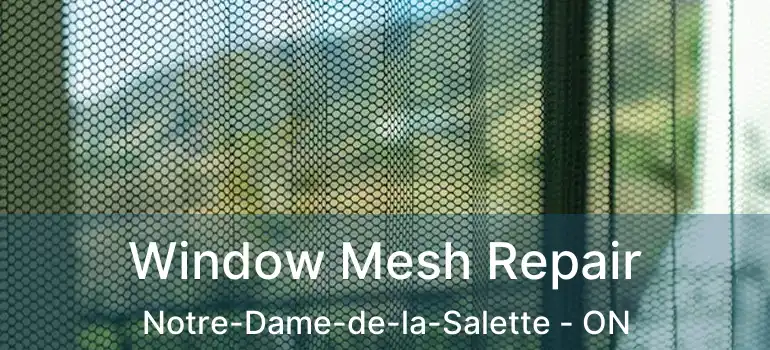  Window Mesh Repair Notre-Dame-de-la-Salette - ON