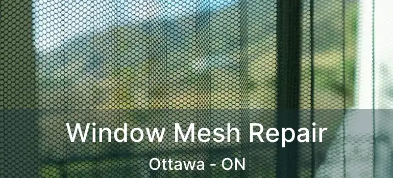  Window Mesh Repair Ottawa - ON