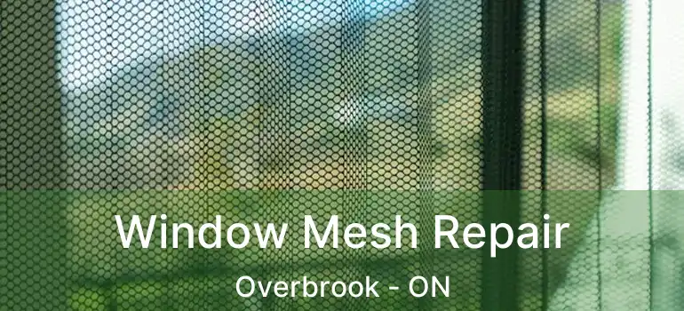  Window Mesh Repair Overbrook - ON