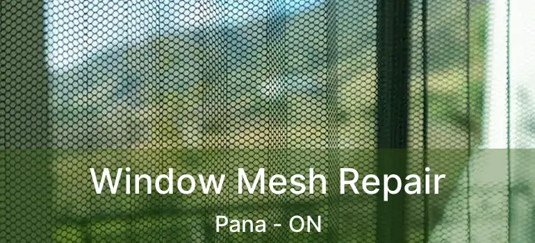  Window Mesh Repair Pana - ON