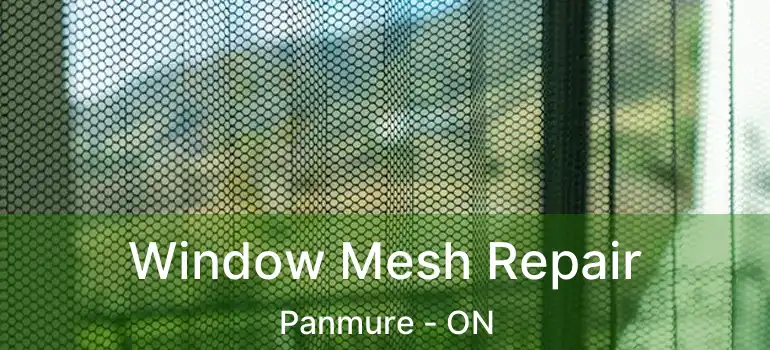  Window Mesh Repair Panmure - ON