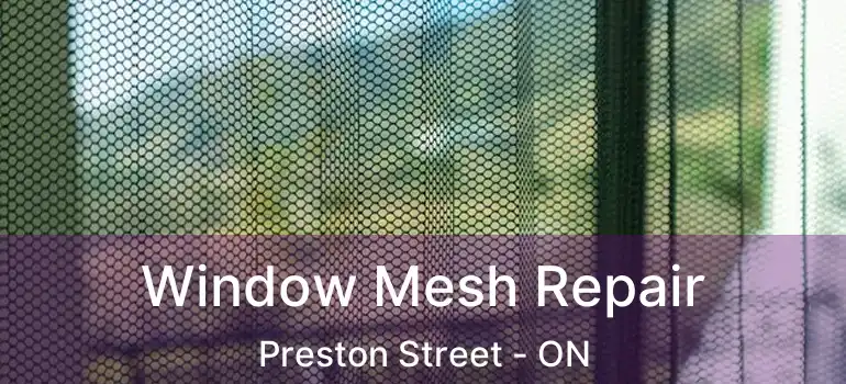  Window Mesh Repair Preston Street - ON