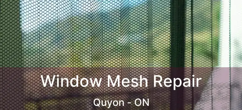  Window Mesh Repair Quyon - ON